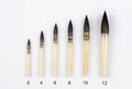 BRUSHES 1305