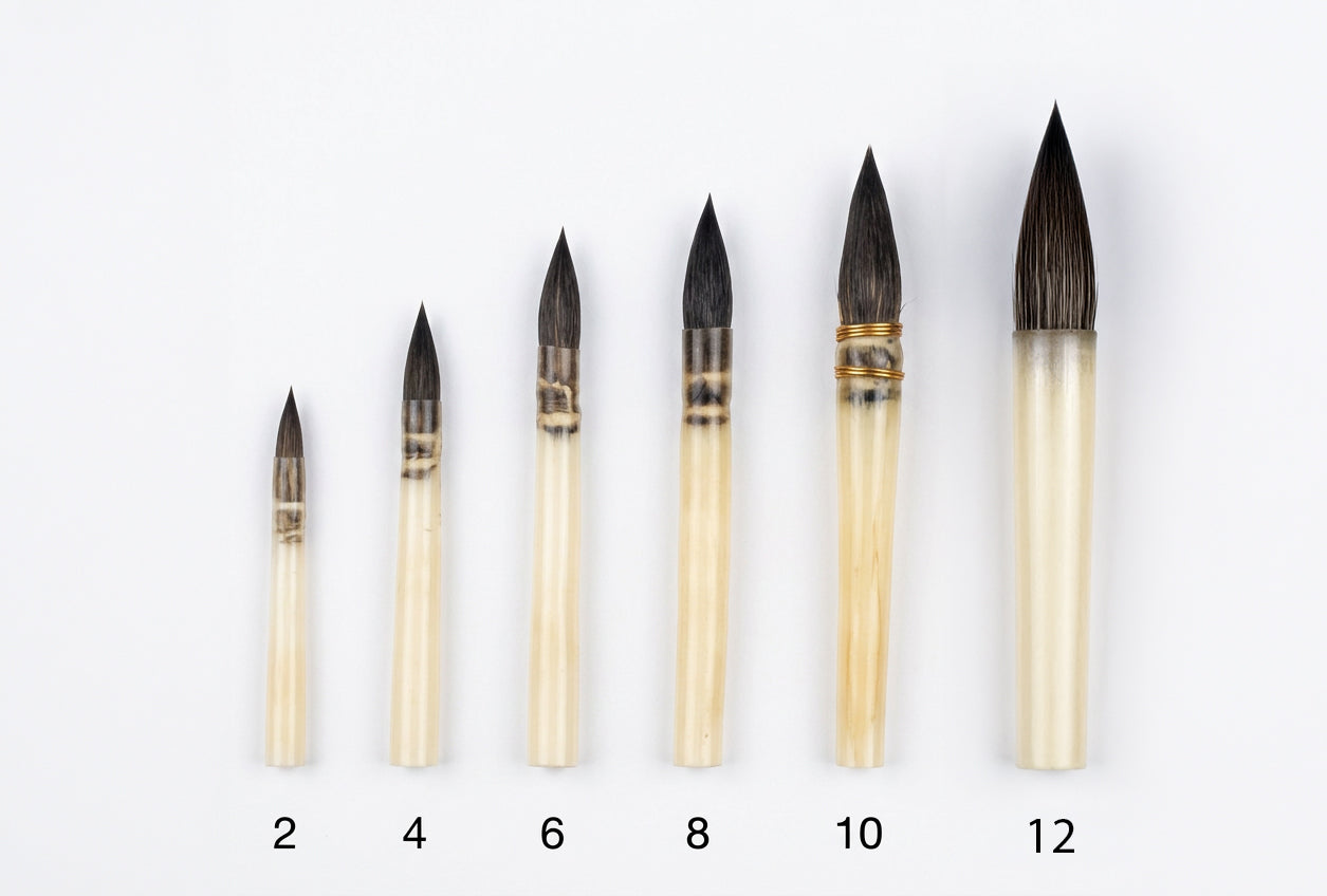 BRUSHES 1305
