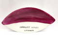 Prestige ™ Darkest Violet (Cadmium) Palette